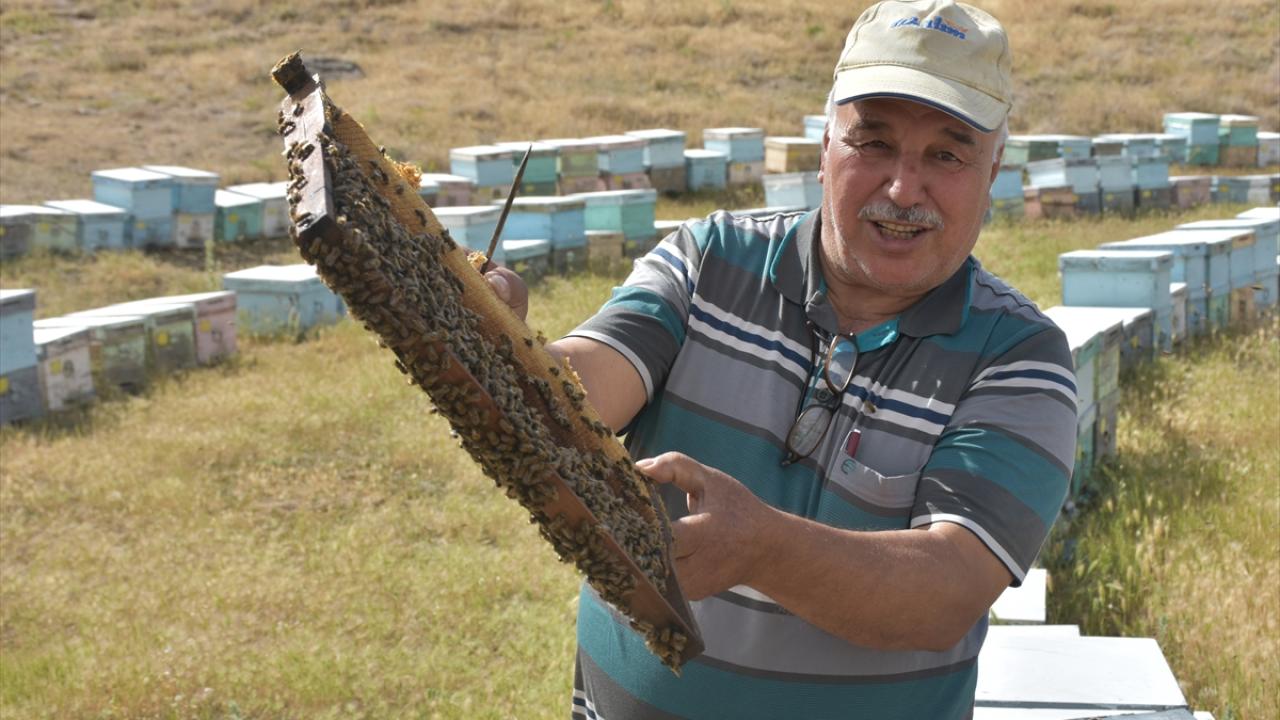 "Kaliteli ve çok bal elde ettiğimiz için buradan çok memnunuz"