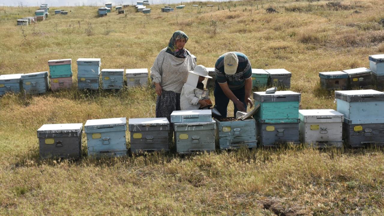 "Kovanların yanına koşa koşa giderim"