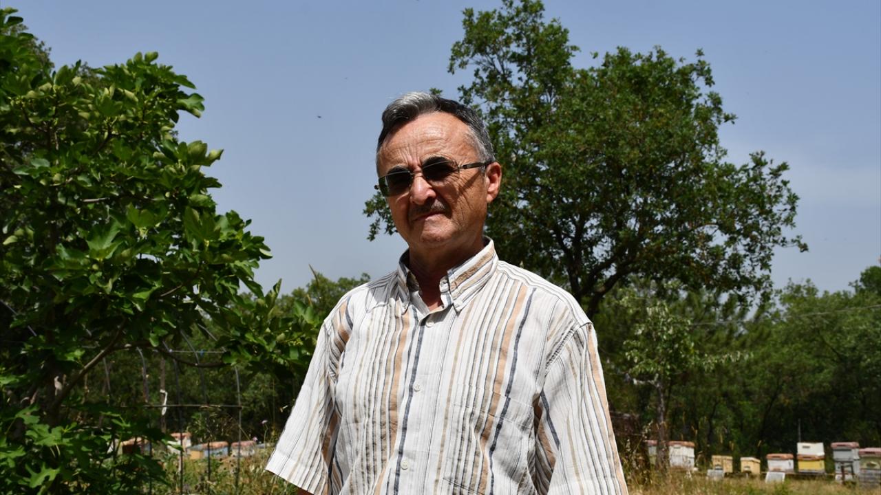 "Kovanın içinde yapay zekayla beraber otomasyon sistemi kullanmak zorundayız"