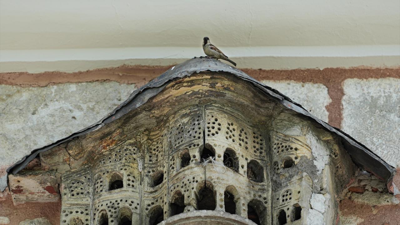 "Osmanlı kuş sarayları, günümüzde pek çok detayını kaybettiğimiz bir estetik zevkti"