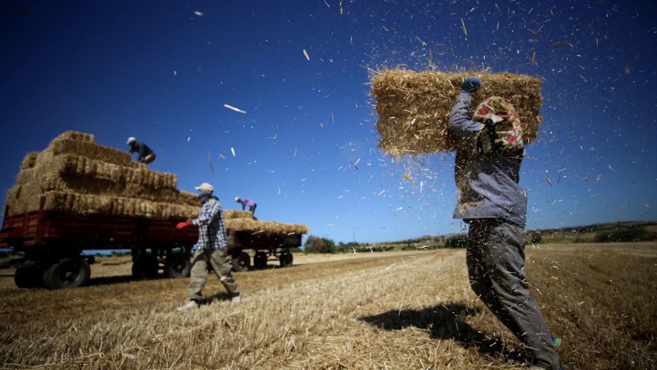 "35-40 derecede sıcak altında bu işi yapmak kolay olmuyor"