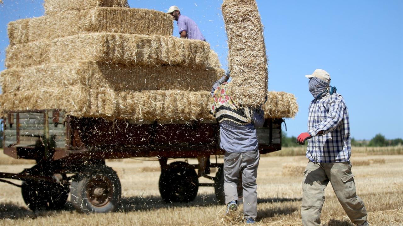 "Hem sıcak hem ağır ikisi bir araya gelince insan ister istemez yoruluyor"