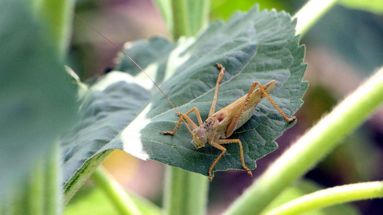 "Bir an önce çözüm bulunması lazım"
