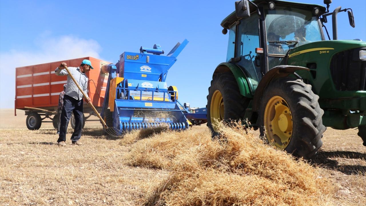 "Bakteri kullanarak verimimizi artırdık"