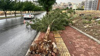 Şanlıurfa'da fırtına ve yağmur etkili oldu
