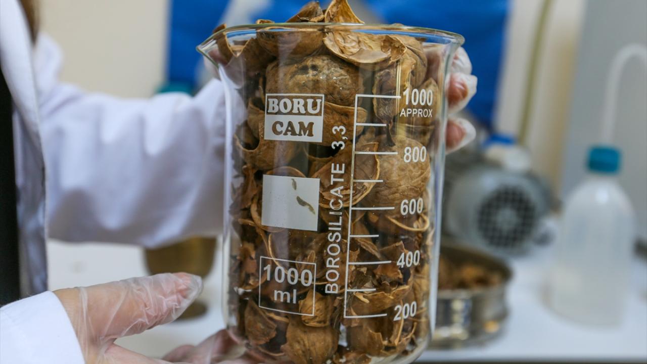 "Ülkemizin 12. Kalkınma Planı için son derece önemli"