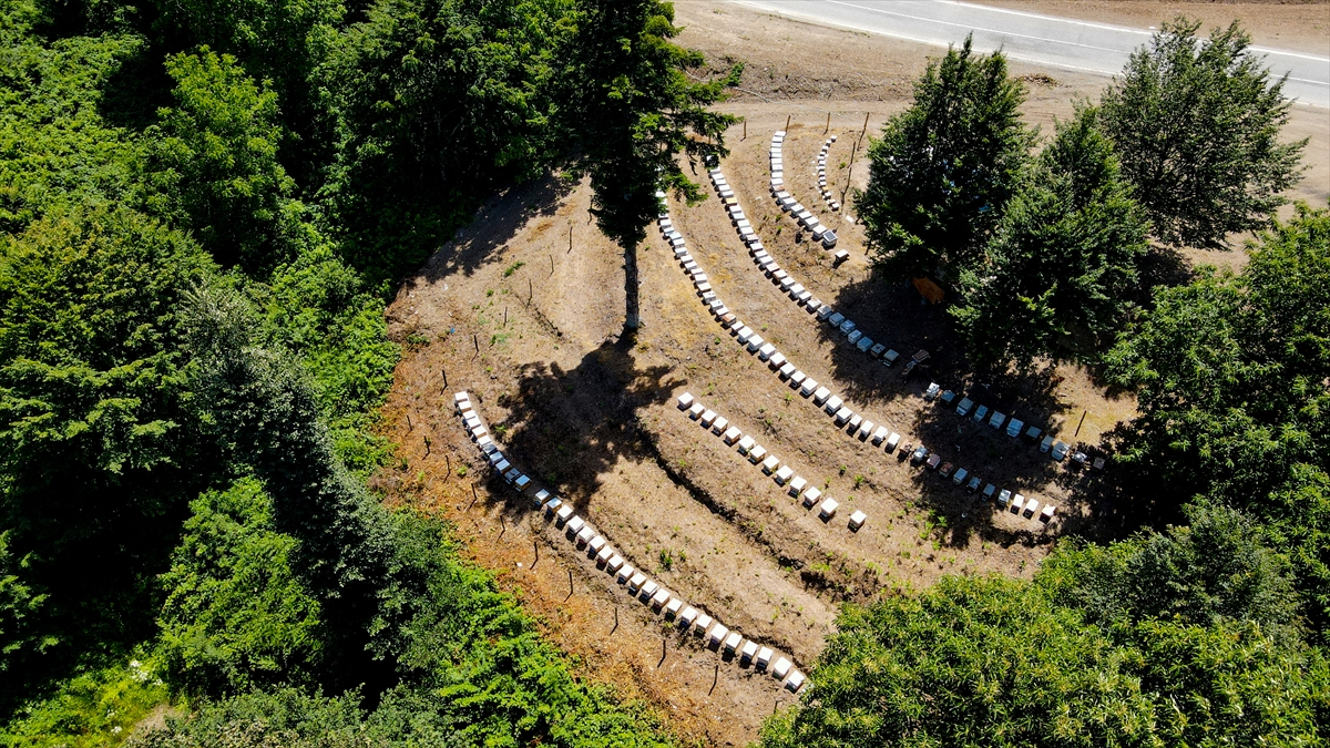 "2013`ten bu yana en verimli sezon olacak"