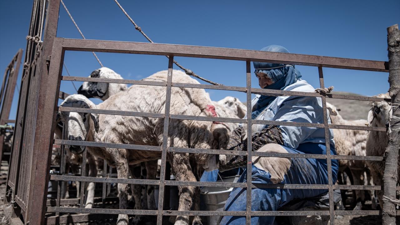 "Türkiye`de mera varlığı bakımından 2. sıradayız"