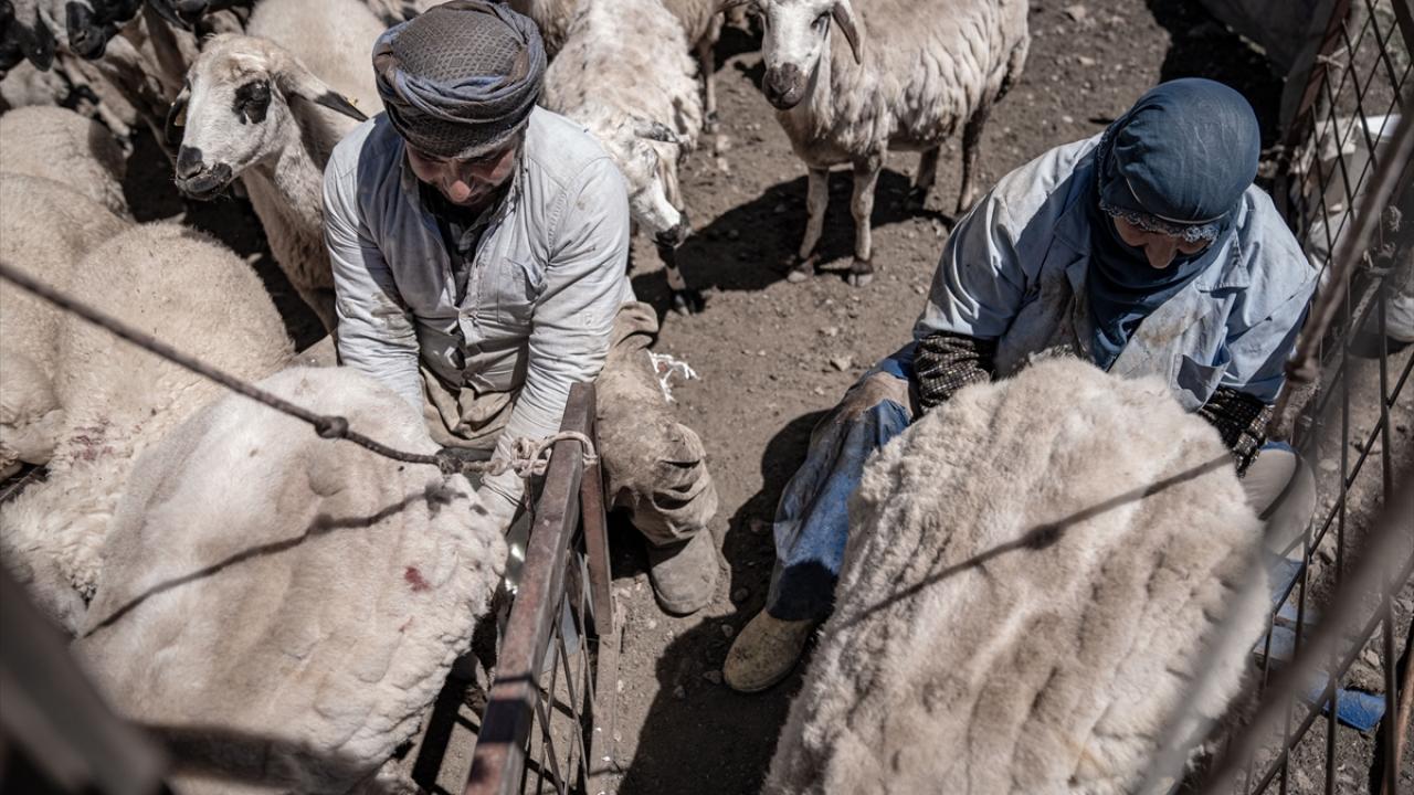 "Doğayla baş başayız"