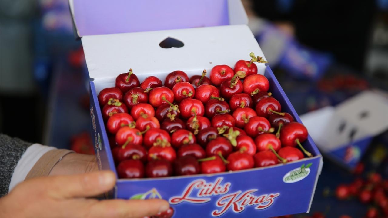 İhraç edilen kiraz erkenci bölge Manisa`dan