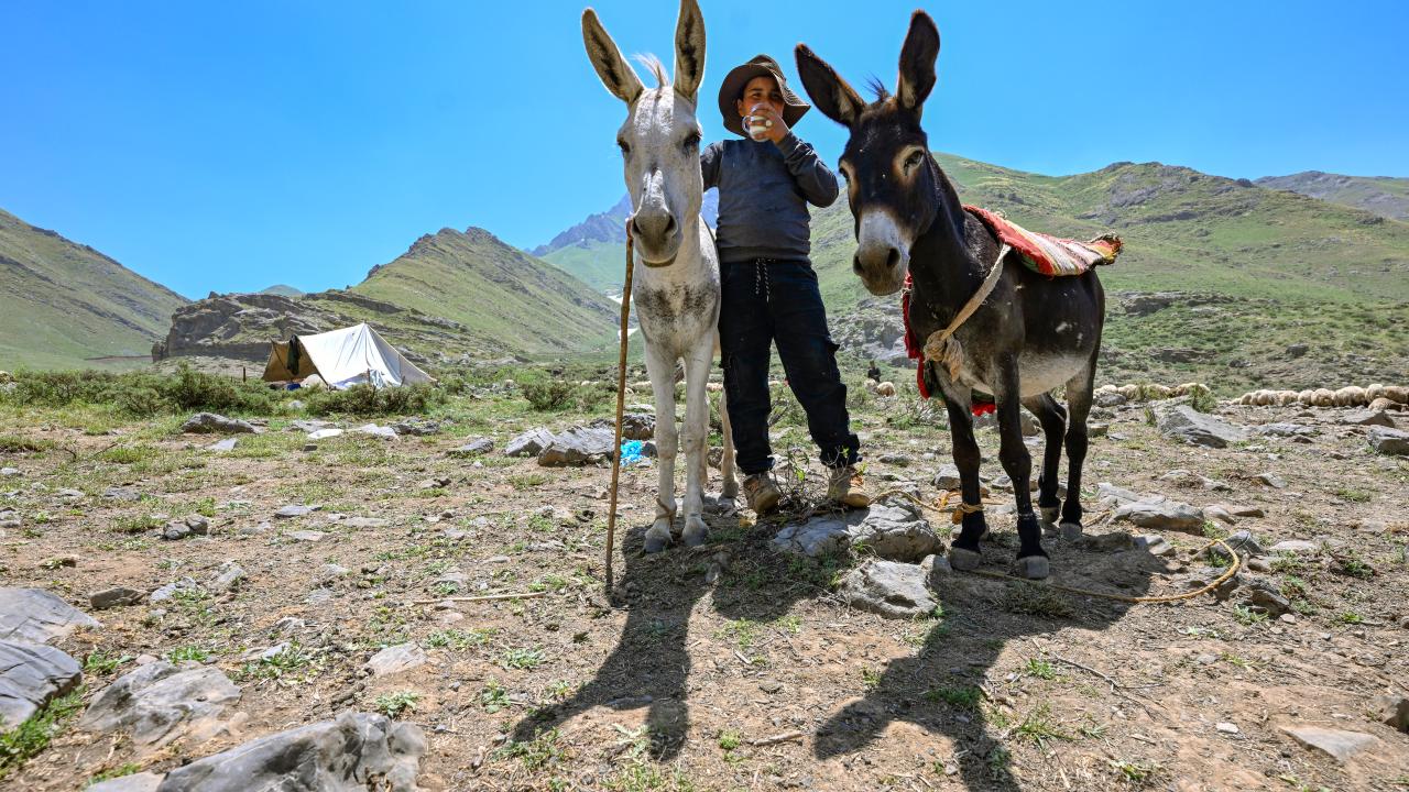 "Organizasyonumuz uluslararası boyuta geldi"