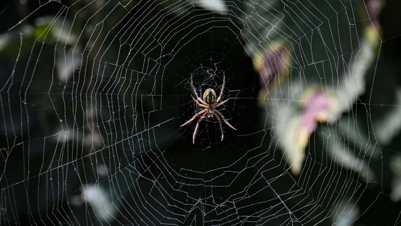 "Hepimiz kardeşiz, hiçbir ayrımcılık yok"