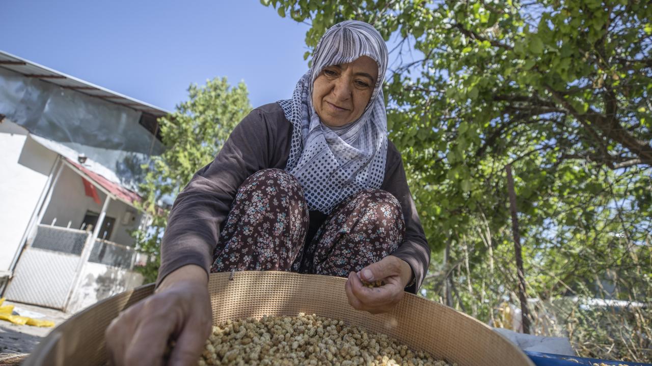 Ürünler güneşin karşısında kurutuluyor