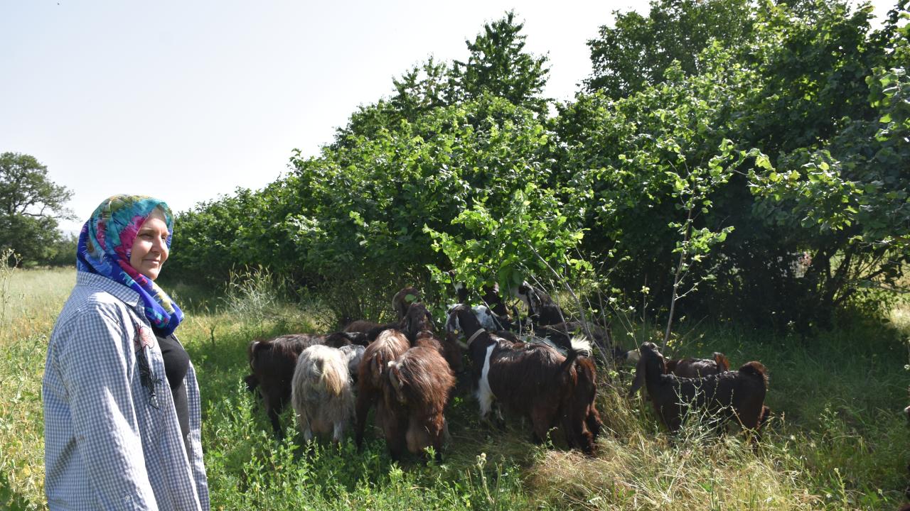 "Artık bir müşteri portföyüm var"
