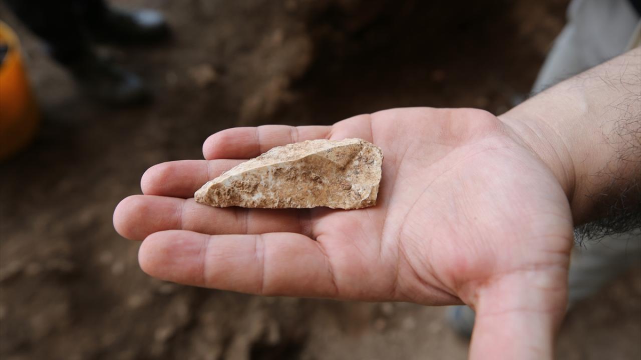 Kemiklerin hangi hayvan türlerine ait olduğu araştırılacak