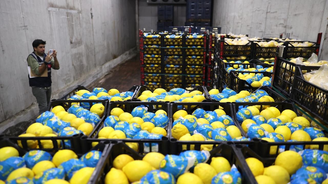 Mersin`de limon depolarını denetledi