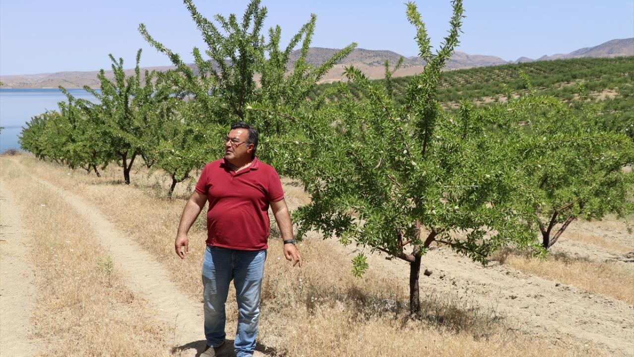 "Taşlık, kayalık arazi ekonomiye kazandırıldı"