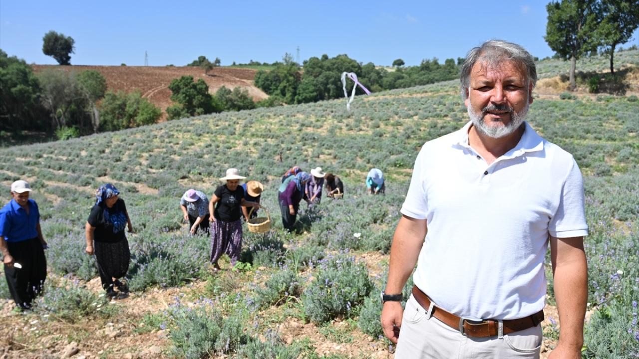 "Arazimizin insanlara gelir kapısı olmasından mutluyuz