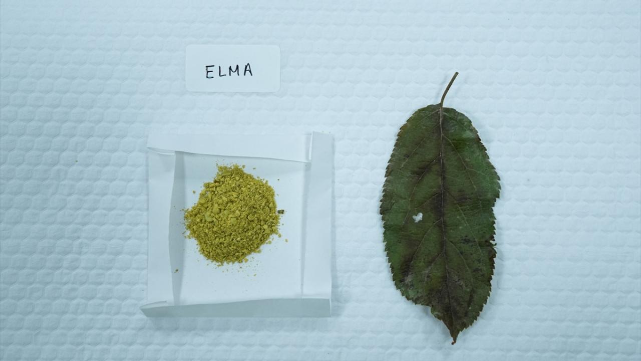 "Gıdalara eklenerek protein içerikleri zenginleştirilebilir"