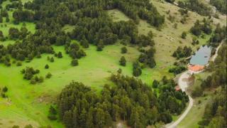 Sıcaktan bunalanlar Dumanlı Tabiat Parkı'nın serinliğinde doğayla buluşuyor