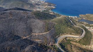 İzmir'de orman yangınında zarar gören alanlar havadan görüntülendi