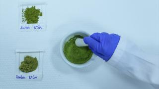 Meyve yaprağından elde edilecek bitkisel proteinle daha az sera gazı salınacak