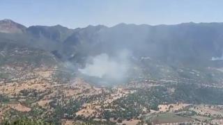 Terör örgütü PKK ormanları yakarak gizlenmeye çalışıyor