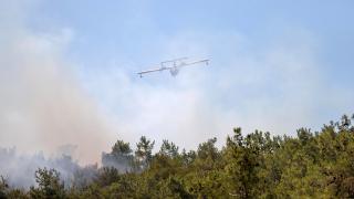 İzmir'de orman yangını