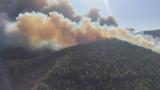 Aydın'da orman yangını