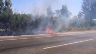 Selçuk'ta bir yangın daha: İlk müdahaleyi vatandaşlar yaptı