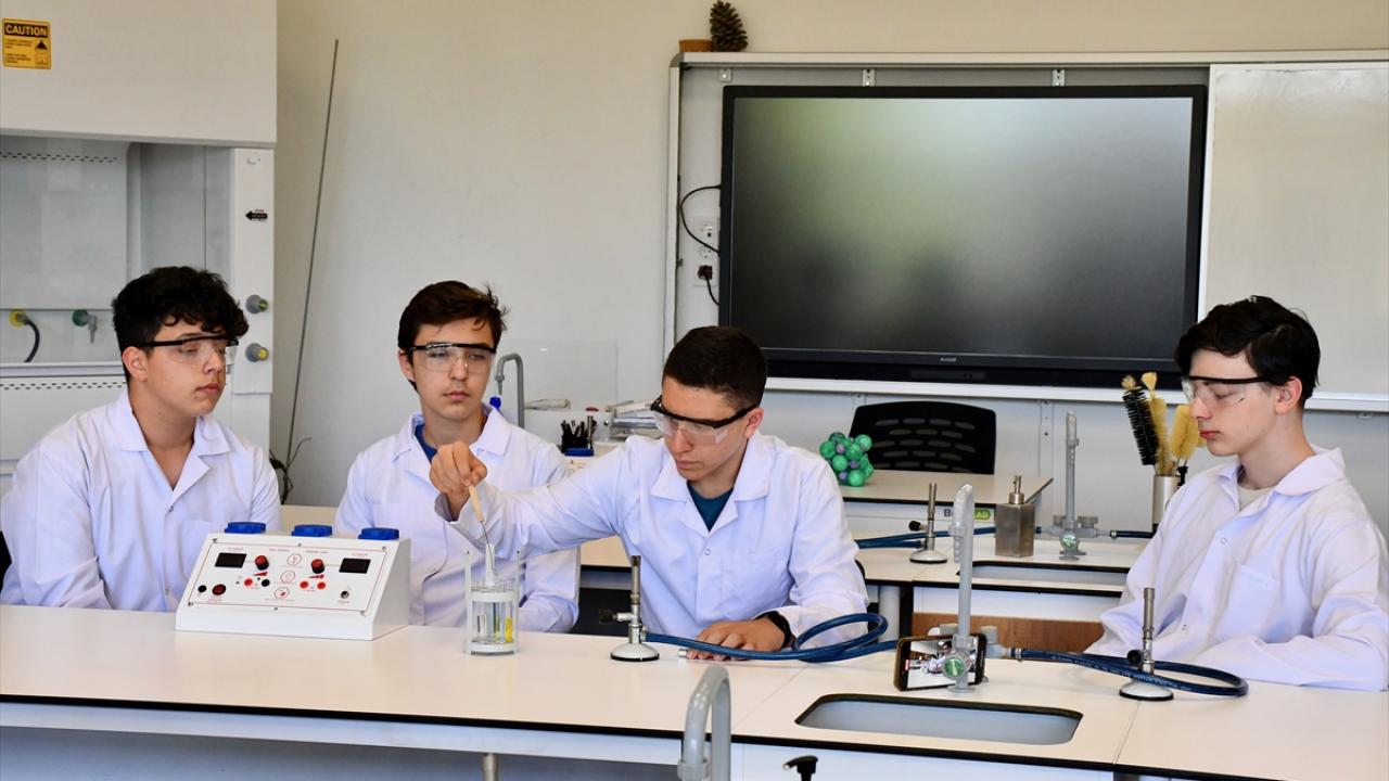 Uzman araştırmacıların mentörlüklerinden faydalanıyorlar