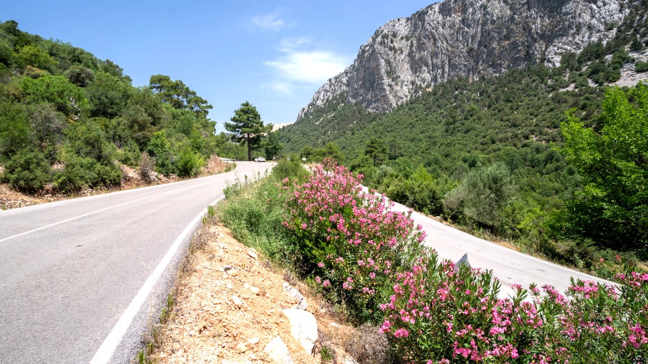 Haber-Fotoğraf: Ali Çilesizoğlu