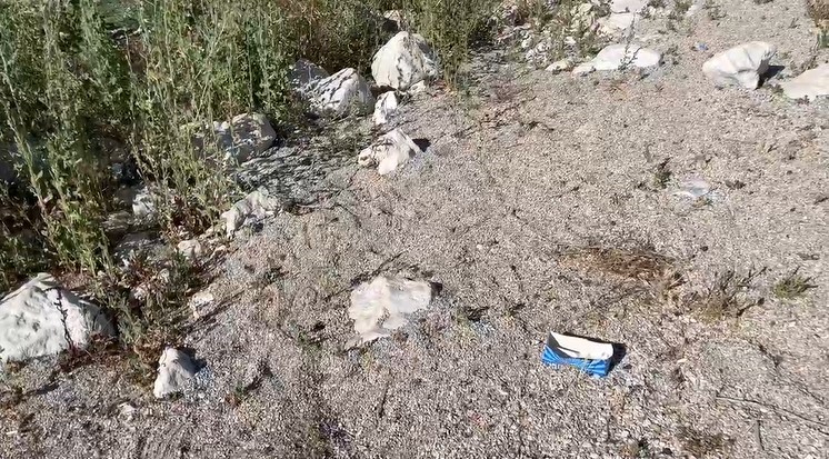 "Kuraklığın devamlılığı siyanobakterilerin baskın hale gelmesini artıracak"