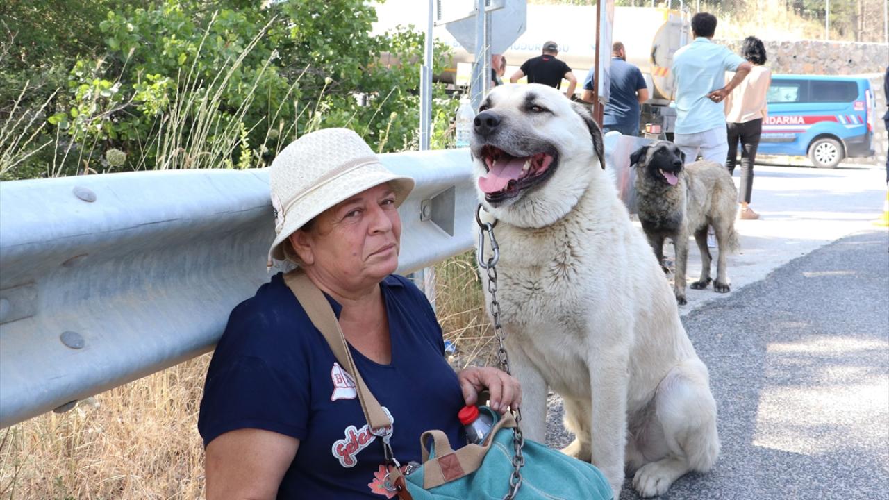 2 mahalle boşaltıldı, 7 ev hasar aldı