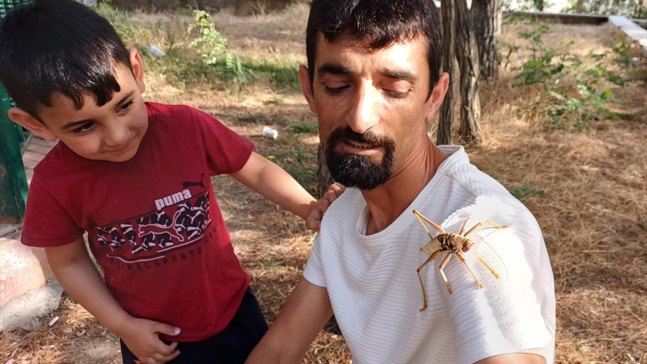 Ekolojik sisteme katkı sunuyor"