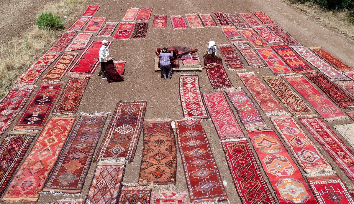 Liseli Sena da tarlalara halı seriyor