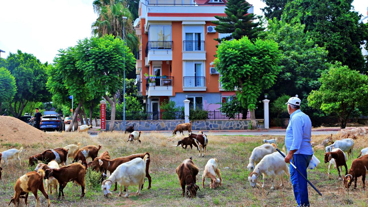 "Hayvanlarla iç içe olmak güzel"