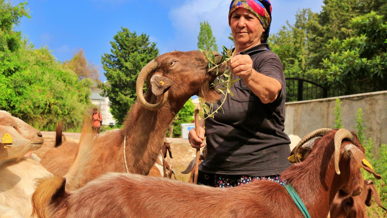 Hepsinin bir ismi var