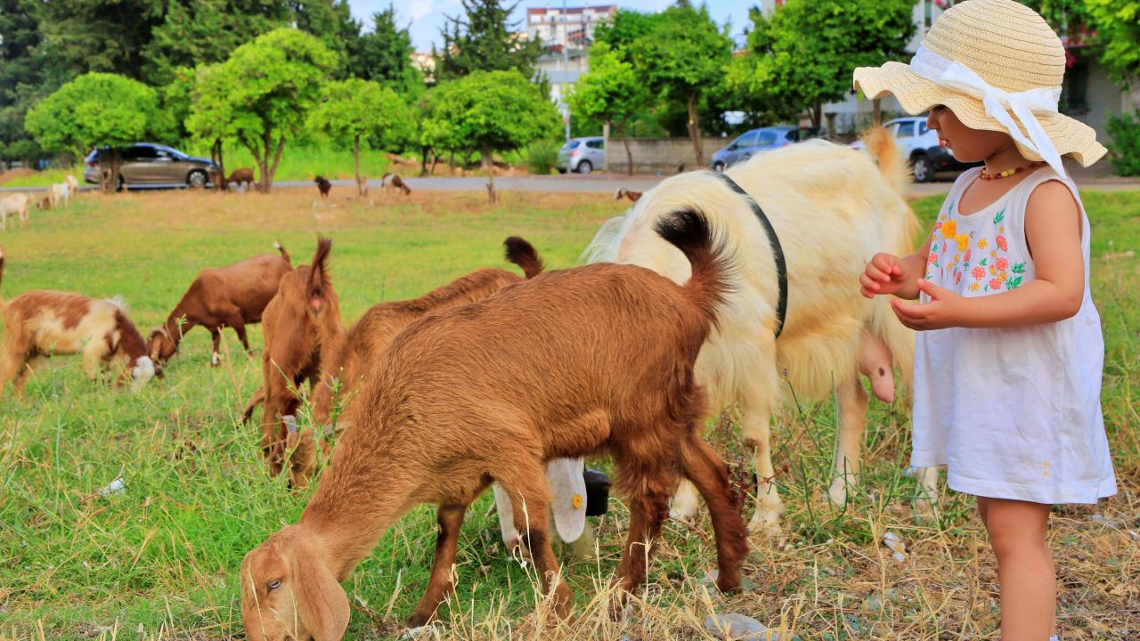 "Bunlar olmasa ben çökerim"