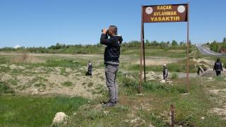 Van'da 2,5 ayda 69 ton inci kefali ele geçirildi