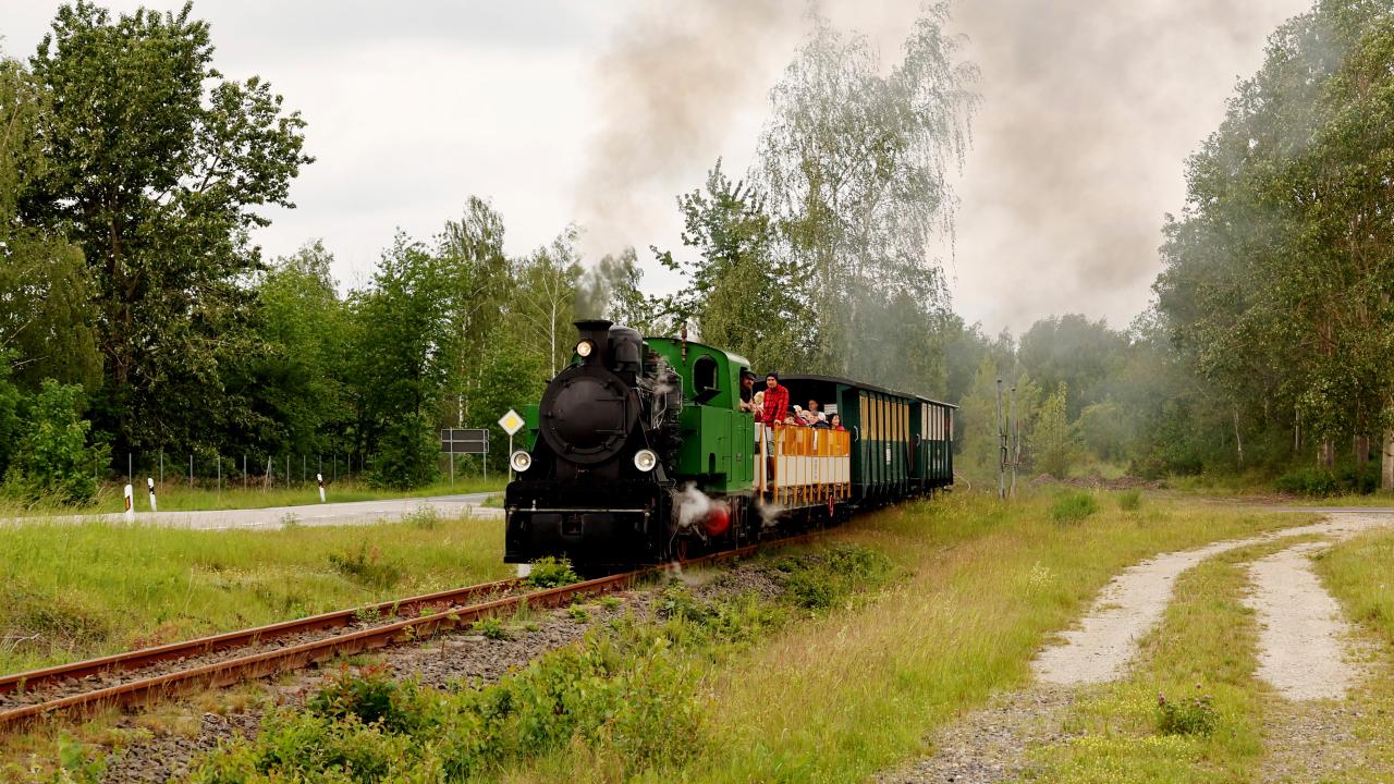 Günümüzdeki kullanımı