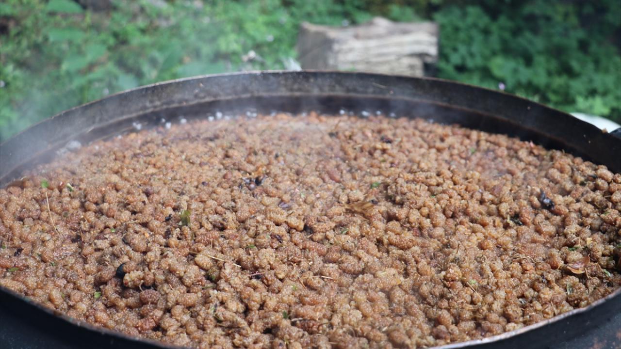 "Ecdadın bıraktığı topraklardaki dut bahçelerini ayağa kaldırdık"