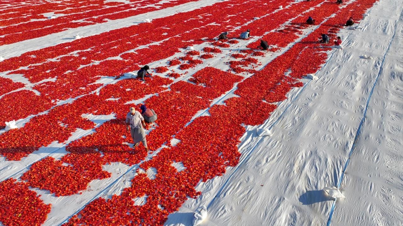"Çiftçi bu yıl rekoltede rekor yılını yakalayacak"