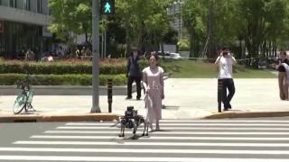 Robot rehber köpek görme engellilere yardımcı oluyor