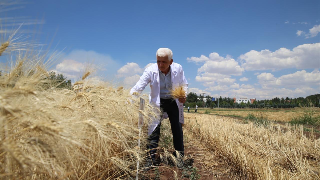 "Ülkemiz ve çiftçimize hayırlı olsun"