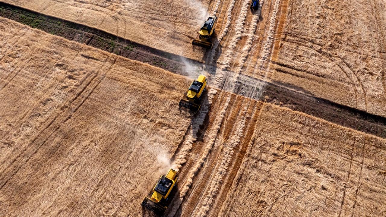 Hasat 9 biçerdöverle 3 saatte bitti