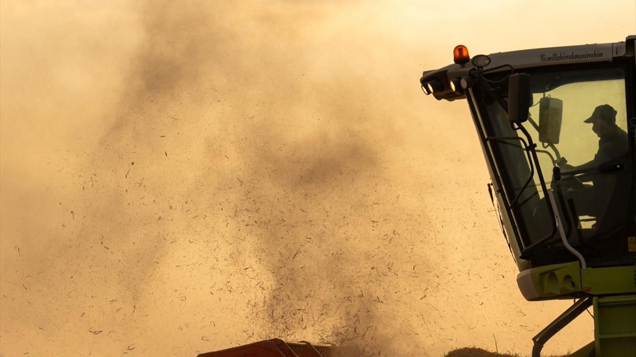 Robotik sulama sistemi, işçilik ve verimde öne çıkıyor