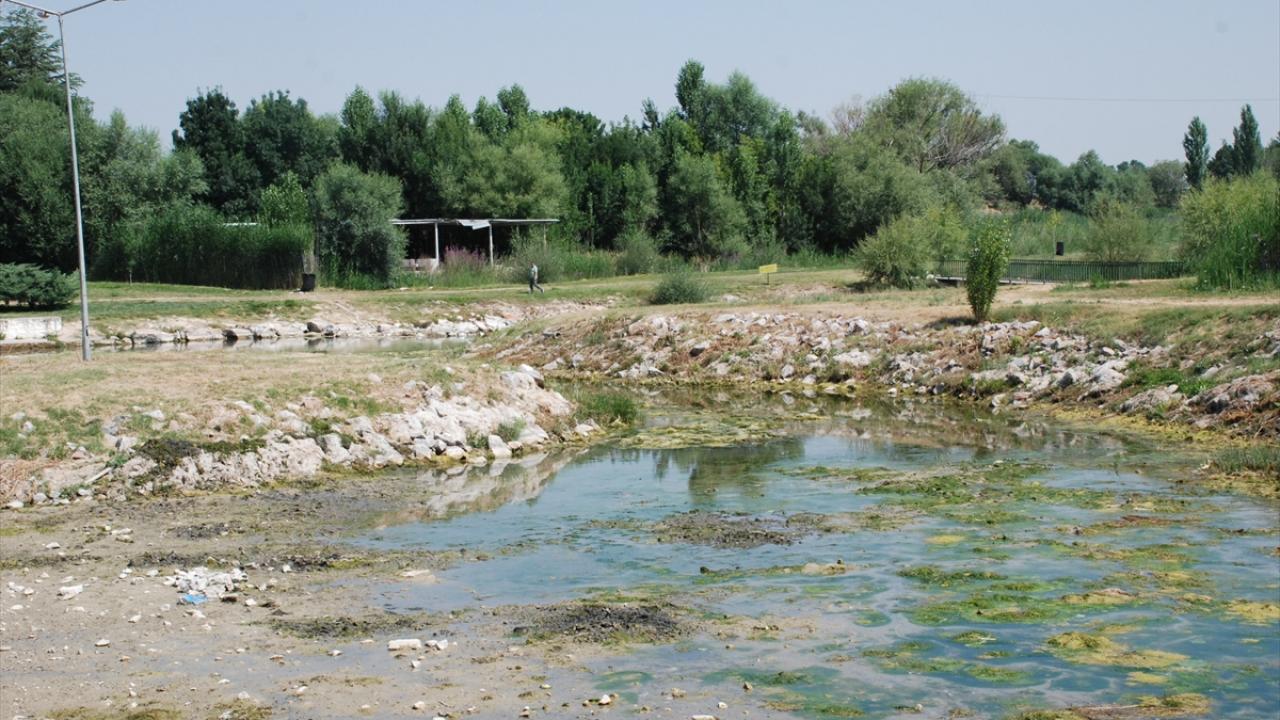 "Kurumanın sebebi biraz çiftçinin derin kuyu vurdurması, biraz da kuraklık"