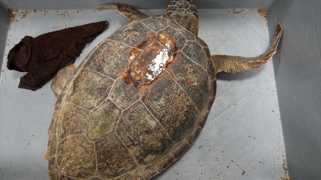 Göç yolları harita üzerinden izlenilecek