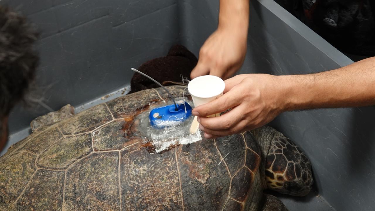 "Doğayla uyumlu, sürdürülebilir madenciliğin yapılabileceğine inanıyoruz"